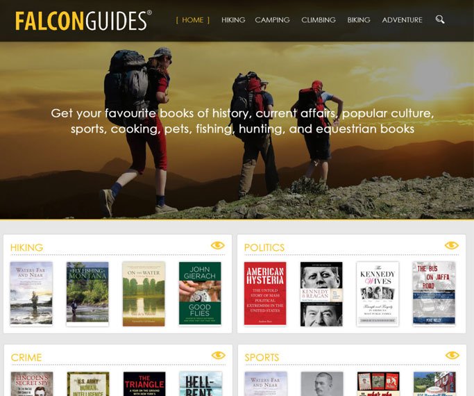 Falcon Guide - Saadeez.com